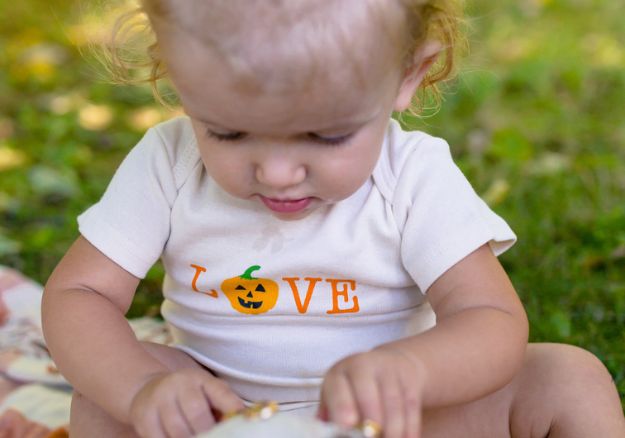 Fall Favorites