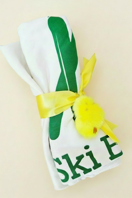 Ski Bum Blanket Hero Background